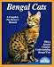 maine coon - Bengal Cats: Everything About Purchase, Care, Nutrition, Breeding, Health Care, and Behavior (A Complete Pet Owner's Manual)