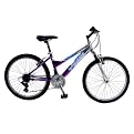 G Montana Ball Burnish to purple - 24 Inch