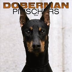Doberman Pinschers Wall Calendar: 2004