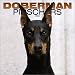 Doberman Pinschers 2004 Calendar