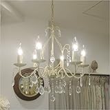 �V�����f���A�@DML0020