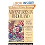 Adventures in Medialand: Behind the News, Beyond the Pundits