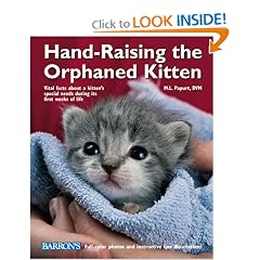 Hand-Raising the Orphaned Kitten