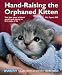 Hand-Raising the Orphaned Kitten