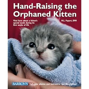 Hand-Raising the Orphaned Kitten