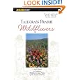 Tallgrass Prairie Wildflowers 2: A Field Guide to Common Wildflowers and Plants of the Prairie Midwest (Falcon Guides Wildflowers)