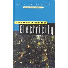 Transforming Electricity: The Coming Generation of Change