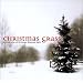 Christmas Grass