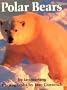 Polar Bears