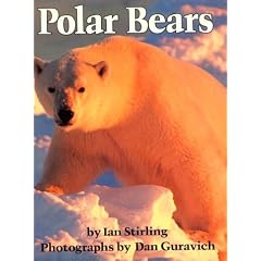 Polar Bears