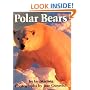 Polar Bears