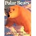 Polar Bears