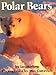 Polar Bears