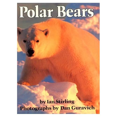 Polar bear 'extinct within 100 years' Stormfront