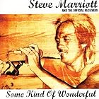 Some Kind of Wonderful by  Steve Marriott & the Official Receivers 