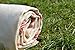 Dandelion - Ivory Basic Pattern - Naturally-Dyed Cotton Turkish Towel Peshtemal - 71x39 Inches - Red
