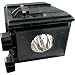 Samsung HL-R4266WX HLR4266WX Lamp with Housing BP96-00826A