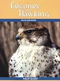Falconry and Hawking