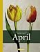Bücher : Das Buch vom munteren April