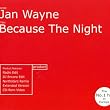 Because the Night