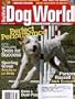 Dog World Magazine June 2008 Parson Russell Terrier (Single Back Issue)