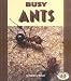 Busy Ants (Pull Ahead Books)