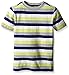 Gymboree Boys' Big Striped Short Sleeve Tee