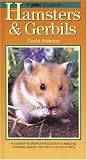 Guide to Hamsters & Gerbils (PetLove Guide To...)
