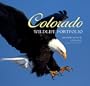 Colorado Wildlife Portfolio