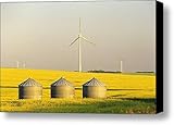 Grain Bins And Wind Turbines In Canola Canvas Print / Canvas Art - Artist Dave Reede