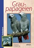 Graupapageien