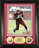 Highland Mint NFL Arizona Cardinals Beanie Wells 24KT Gold Coin Photomint