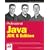 Professional Java JDK
