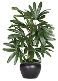 Raphis Silk Palm Tree w/Black Vase 20 in