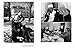 Knockout: The Art of Boxing