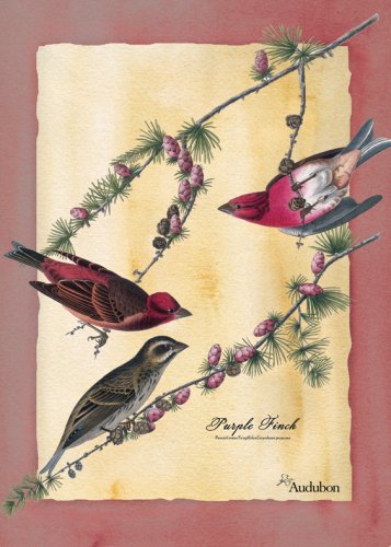 Audubon Garden Flag-Purple Finch