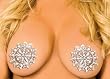 Silver and Clear Nipple Pasties