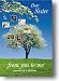 Dear Sister, from you to me ('Journal of a Lifetime') (from You to Me Journals of a Lifetime)