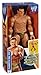 WWE Large Scale Alberto Del Rio Figure