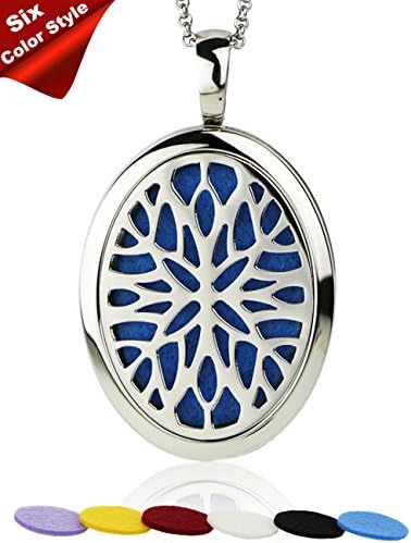 Snowflower Aromatherapy Essential Oil Diffuser Necklace Locket Pendant Jewelry Hypo-Allergenic 316L Surgical Grade Stainless Steel With 24" Chain and 6 Washable Pads