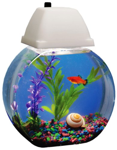 AQUARIUS AQB001 Aqua Bowl 1-Gallon Fish Bowl with Lighted Hood