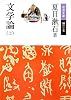 文学論〈上〉 (岩波文庫)