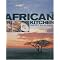 The Food of Africa