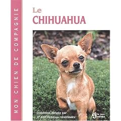 Le chihuahua