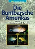 Die Buntbarsche Amerikas 2. Apistogramma und Co.