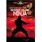 Ninja Movies. The Good, bad, & whatever. Research B 4 buying