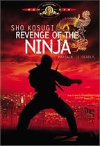 Revenge of the Ninja