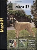 Mastiff (Pet Love)