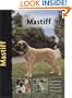 Mastiff (Pet Love S.)