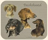 David Kiphuth Dog Breeds Dachshund Mousepad Mouse Pad